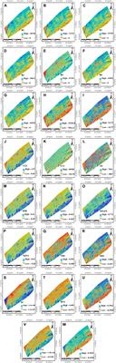 Spatial prediction of physical and chemical properties of soil using optical satellite imagery: a state-of-the-art hybridization of deep learning algorithm